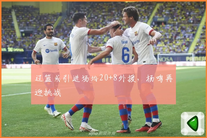 辽篮或引进场均20+8外援,杨鸣再迎挑战