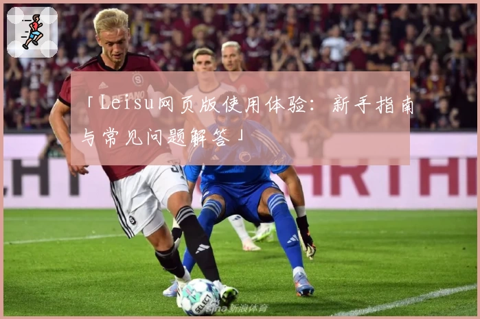 「Leisu网页版使用体验：新手指南与常见问题解答」