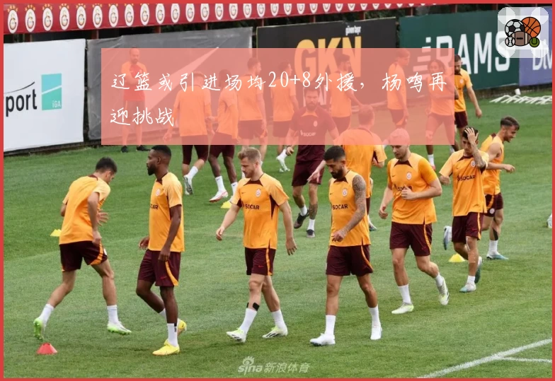 辽篮或引进场均20+8外援，杨鸣再迎挑战