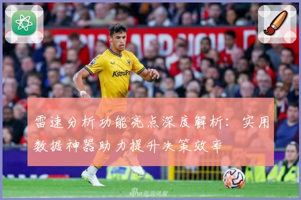 雷速分析功能亮点深度解析：实用数据神器助力提升决策效率